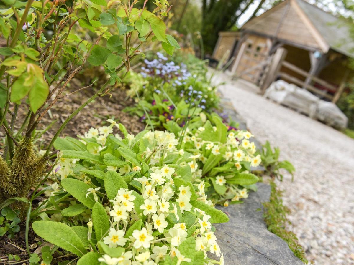 Mimi'S Cottage Liskeard Exterior foto